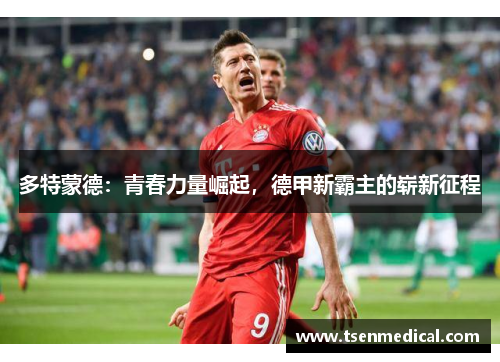 多特蒙德：青春力量崛起，德甲新霸主的崭新征程
