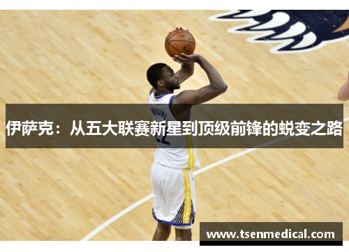 伊萨克：从五大联赛新星到顶级前锋的蜕变之路